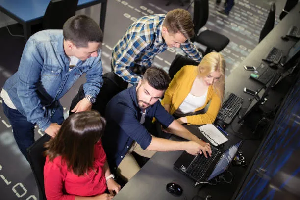 Команда IT-школы zerra-metra.website